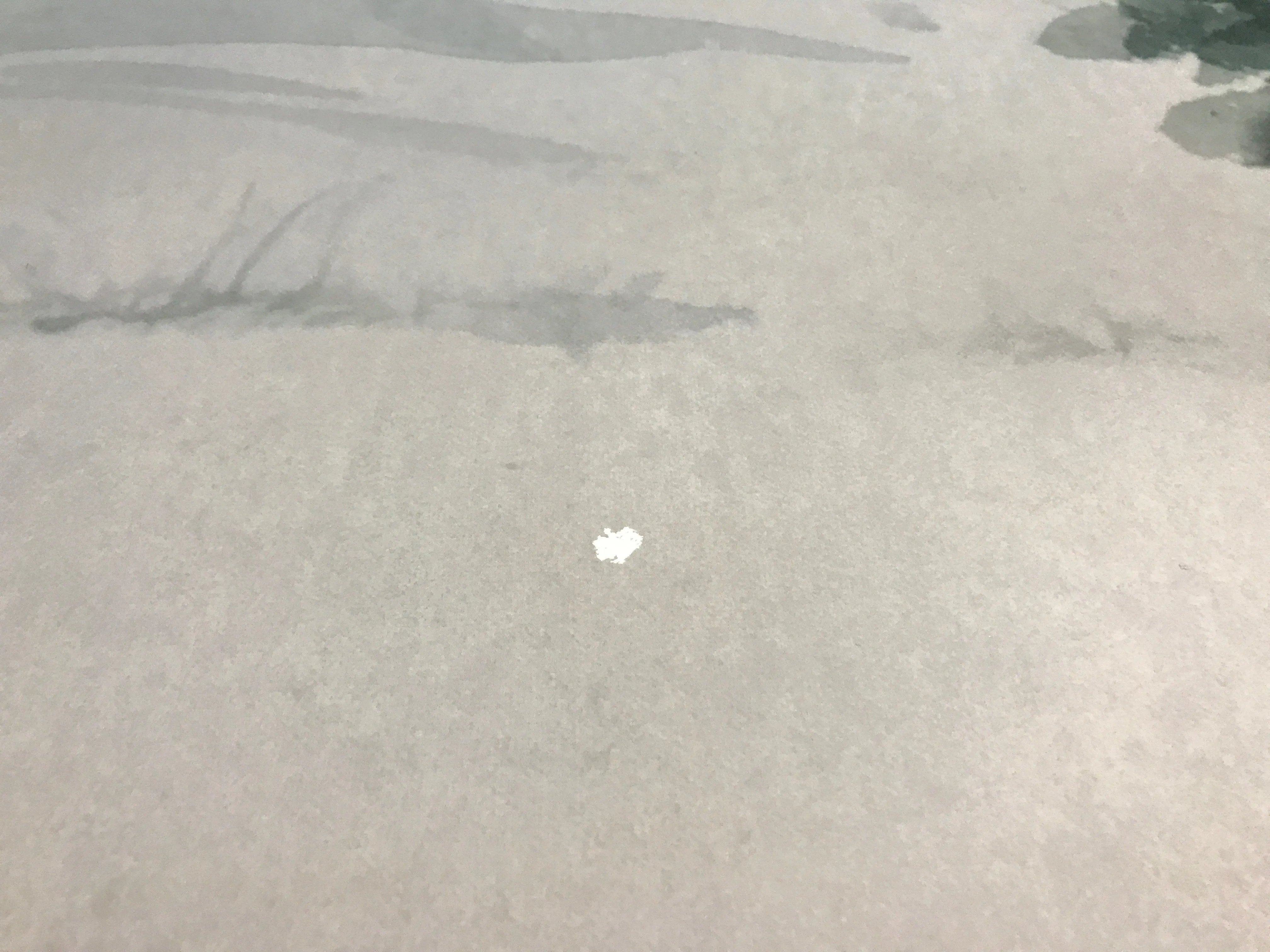 73x60 vale dw ::: short & slightly damaged ::: stock h23