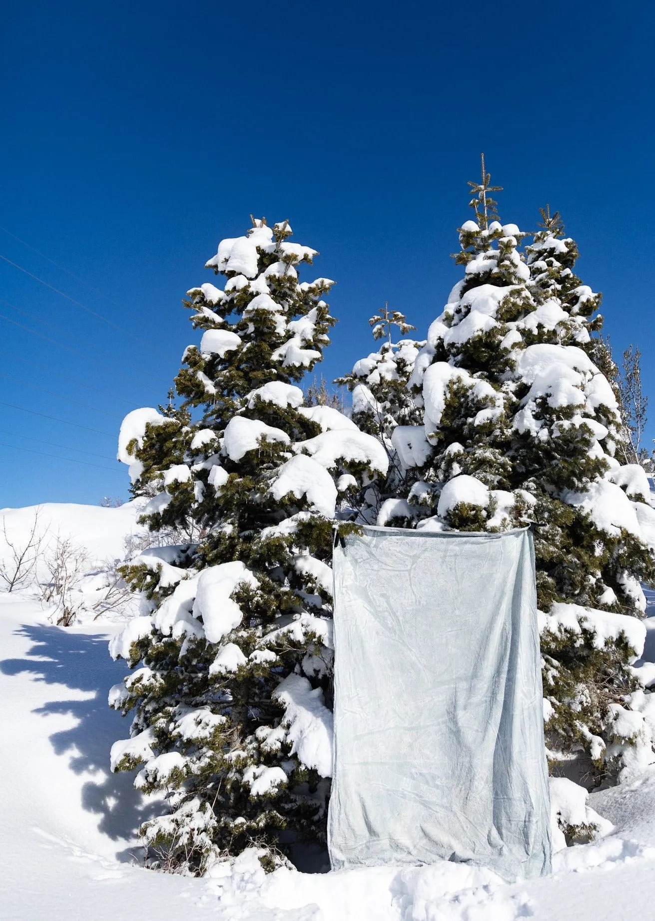 Arctic Frost- 5'x7' Weathered Muslin Backdrop in a Bag